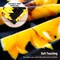 Sunflower Blanket, 40"x50" Double Sided Print Soft Warm Reversible Throw Blanket for Women Girls Birthday, Black